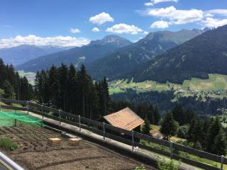 Koflers Ferienwohnungen - Oberperfuss - 4