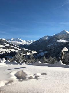 Apartment Acker - Alpbach - 5