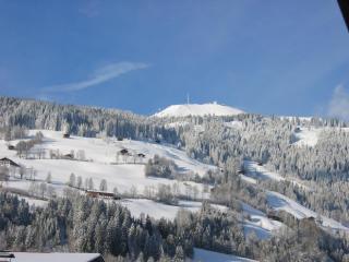 Apartment Gossner - Westendorf - 3