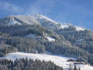 Apartment Gossner - Westendorf - 1