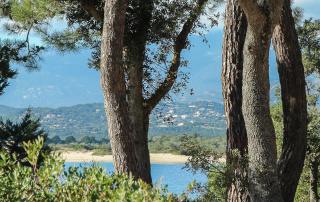 Les Arcades - Porto-Vecchio - 5