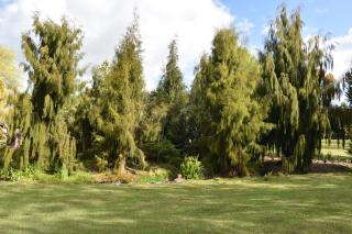 Kerikeri Garden Homestead - Kerikeri - 8