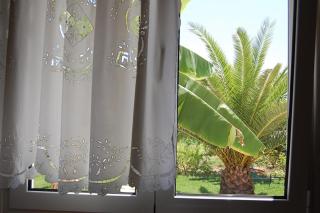 Morfi - Lefkada - 4