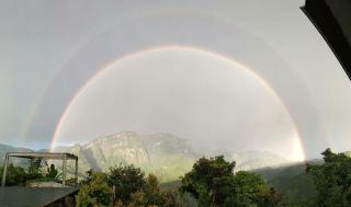 Alishan Shanyunhua B&B Homestay - 5