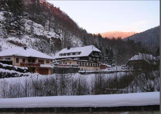 Hotel Waldeck in Todtnau - Todtnau - 9