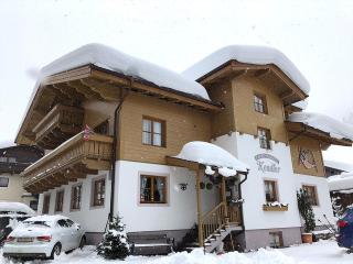 Appartements Kendler - Saalbach-Hinterglemm - 3