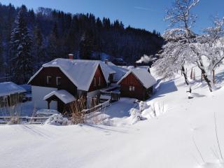 U Veselé lišky - 0