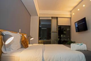 Five bedrooms Penthouse view to Bellas Artes - 1