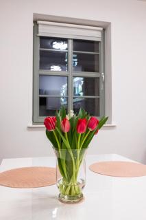 Apartament Rynek Sienny 1 - Szczecin - 7