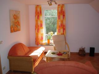 Blick ins Grüne - Zingst - 9