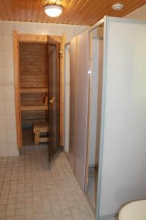 Коттедж в Финляндии, Enonkoski (желтый) - 1