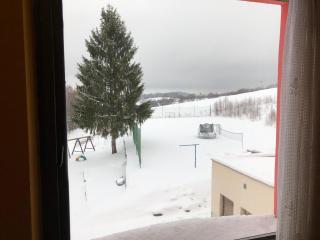 Hotel Na Trojce - Pusté Žibřidovice - 3