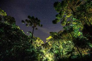 Estalagem Engenho de Serra - Parque Nacional do Itatiaia - Parte Alta - Itamonte - 2