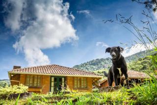 Estalagem Engenho de Serra - Parque Nacional do Itatiaia - Parte Alta - Itamonte - 1