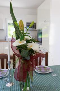 Villa Katarina - Trogir - 2