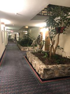 The Monarch Resort - Pacific Grove - 2