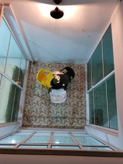 THE ONLY SEA VIEW IN TOWN - 1