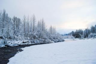 Vail Chalet - Girdwood - 6