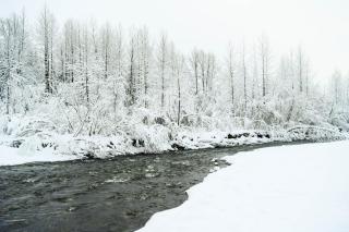 Vail Chalet - Girdwood - 5