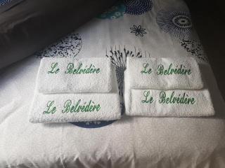 LE BELVÉDÈRE - Entre-Deux - 3