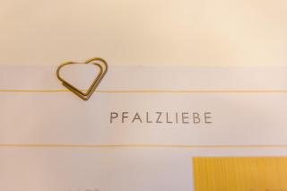 Modernes Studio im Herzen von Neustadt: PfalzLiebe - Neustadt an der Weinstraße - 9