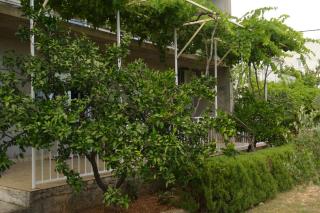 Studio Apartman Šutić - Kastel Novi - 8