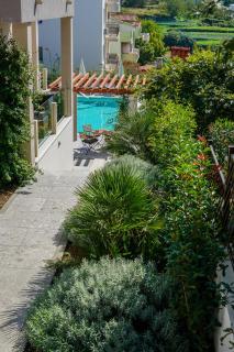 Olive Tree apartments - Podstrana - 5
