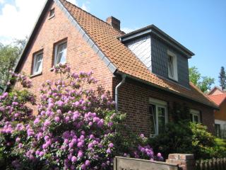 Boer - Soltau - 0