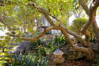 Loerie's Call Guesthouse - 6