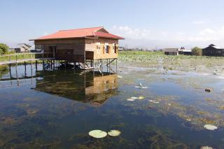 Innthar Lodge Home Stay - Ywama - 7
