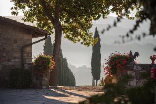 Viticcio - Greve in Chianti - 2