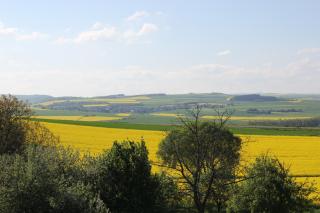 Ferienwohnung zur Burg Eltz - Wierschem - 8