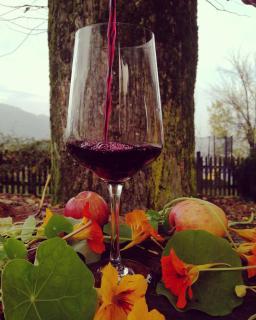 Apartma Lesjak - pobeg v naravo 2 - 4