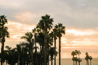 Bayside Hotel - Los Angeles - 6