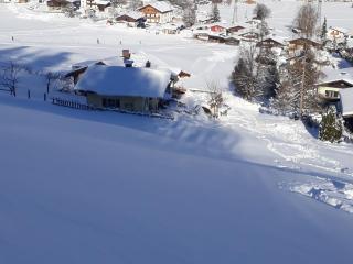 Ferienhaus Niedernsill - 2