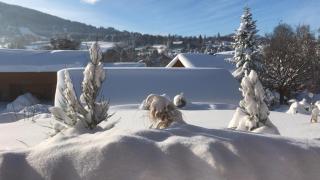 CaLegna Ferienchalet - Bad Kohlgrub - 2