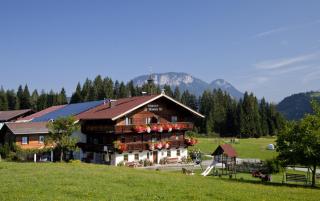 Achrainer-Moosen - Hopfgarten im Brixental - 0