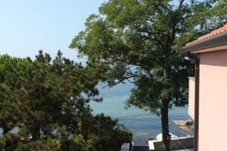 Apartments by the sea Zambratija, Umag - 6997 - 3