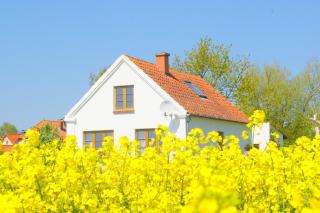 Historisches Inselhäuschen - Surfer/Kiter/Familien - Fehmarn - 0