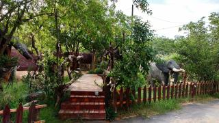 Elephant Trail Guesthouse and Backpackers - Kasane - 1