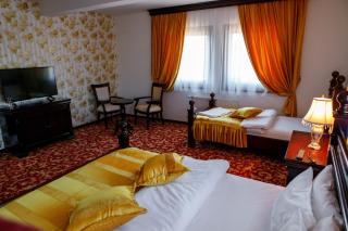 Hotel Zlatarski Zlatnik - 1