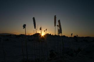Kidagil Guesthouse - Thingeyjarsveit - 9