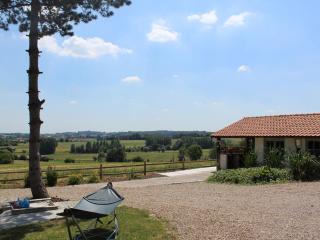 Villa in Ellezelles with Garden and Terrace - Ellezelles - 3