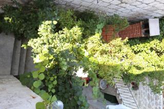 Apartments Nikolla - 1