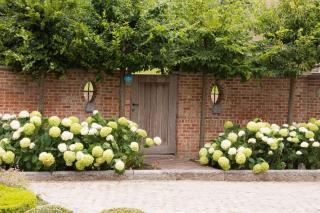 'Hof der Heerlijckheid' - Borgloon - 6