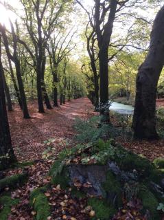 Atelier Zonnehoek - Bergen - 3