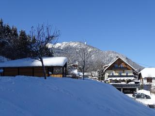 Landhof Schober Studio's - Weissbriach - 9