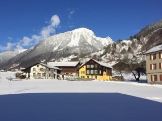 Glärnisch Blick - 3