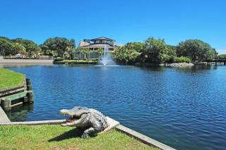 Island Club - Hilton Head Island - 1