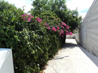 Villa Valle Canale - Marina - 2